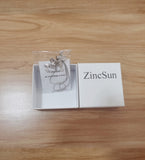 ZincSun Premium Sterling Silver Elegant Fashion Anti-Sensitive Pendant Chain Earrings