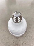 Everlyte Energy Saving Moisture Proof Light Bulbs